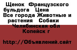 Щенок  Французского бульдога › Цена ­ 35 000 - Все города Животные и растения » Собаки   . Челябинская обл.,Копейск г.